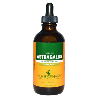Astragalus - My Village Green